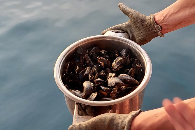 Kayaking and mussels tasting at Krka River estuary-private tours - Shell farm visit and fresh mussel tasting on the raft
