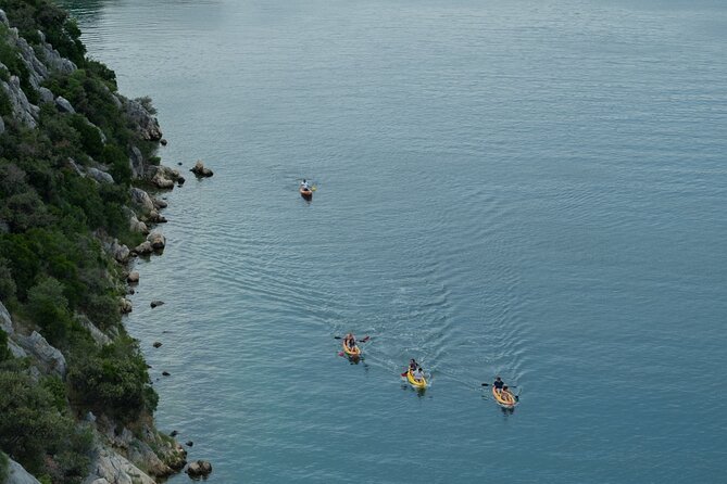 Kayaking and mussels tasting at Krka River estuary-private tours - Who this Krka kayaking and mussels tasting trip is best for