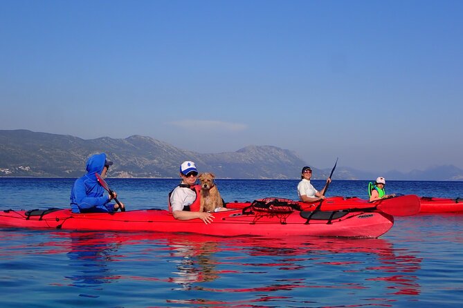 Kayaking Korčula's Paradise -Half Day Guided Kayak Tour - Snorkeling and Swim Breaks on Tiny Islets