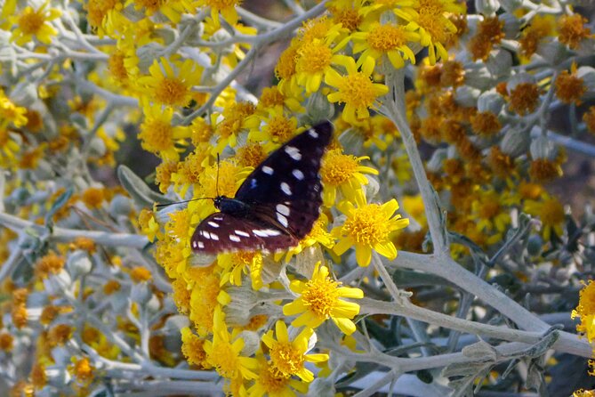 Kayaking Korčula's Paradise -Half Day Guided Kayak Tour - What Weather Changes During the Day (And What You Should Expect)