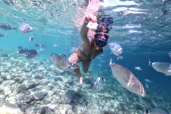 Kayaking to Island Saint Jerolim with snorkeling activitie - The beer-and-snack moment: why it lands so well