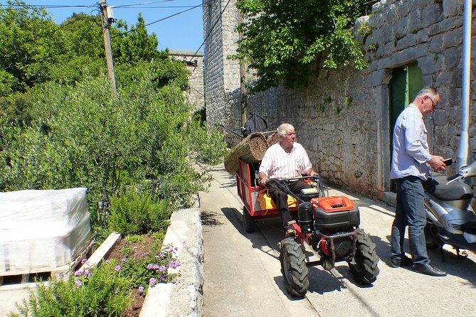 Kolocep Island Hiking and Swimming Full Day Trip from Dubrovnik - Swimming and cliff-jump moments in secluded coves