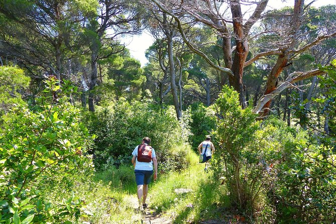 Kolocep Island Hiking and Swimming Full Day Trip from Dubrovnik - Group size and guide style: why max 8 changes your day