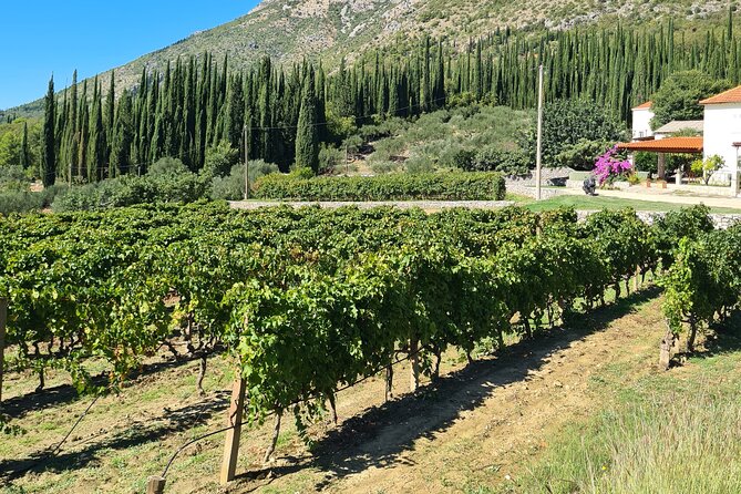 Konavle Gastro & Culture Tour (Private Tour) - Price and what $612.78 buys you (and what it doesn’t)