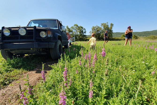 Konavle Jeep Safari Tour from Cavtat with Lunch - Zvekovica, Mihanići, and Gruda: Village Driving That Feels Personal