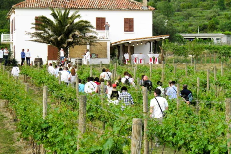 Konavle Valley: Tour with Wine Tasting from Dubrovnik - Key things that make this Konavle wine day work