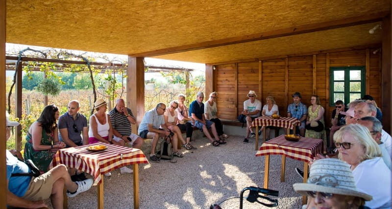 Konavle Valley: Tour with Wine Tasting from Dubrovnik - Comfort, walking, and the footwear reality check