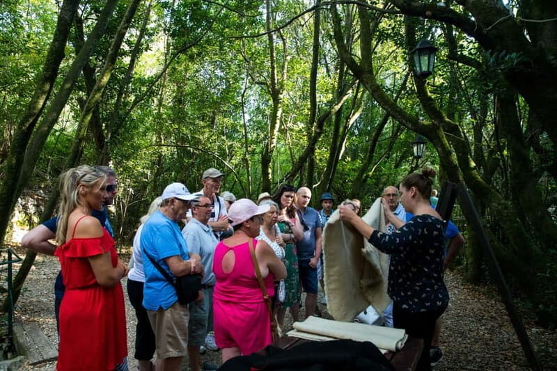 Konavle Valley: Tour with Wine Tasting from Dubrovnik - Who this Konavle wine tour suits best
