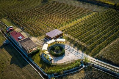 Konavle Valley Wine Tour from Dubrovnik with Train Ride and Wine Tasting - Price and what you actually get for $96.12