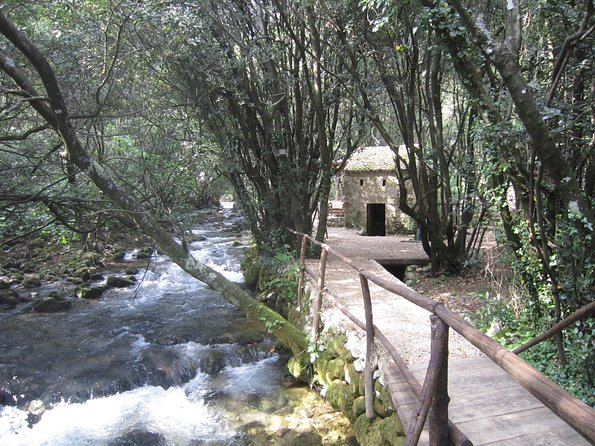 Konavle Valley Wine Tour from Dubrovnik with Train Ride and Wine Tasting - Stop 2: Ljuta by train, then mills, flour demos, and wool-making