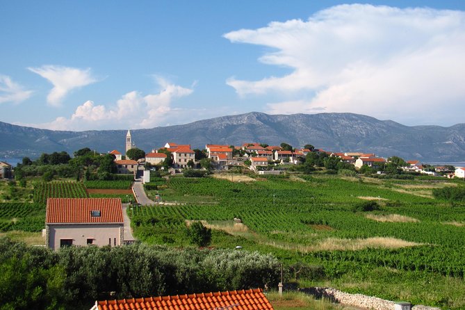 Korcula Bike & Wine Tour | Wine Tasting in Lumbarda - Korčula Explorer’s value: price, what’s included, and what to plan for