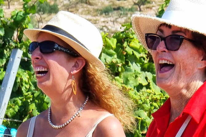 Korcula Buggy (Official) Safari Tour -Local Food & Wine Tasting- - The GRK Vineyard and Wine Country Stops: What to Look For
