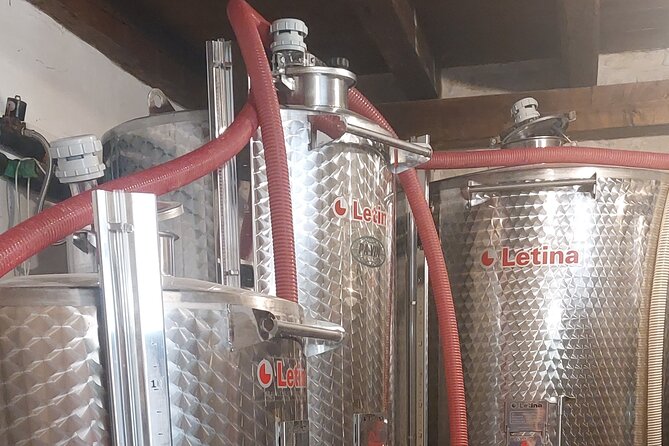 Korčula for Wine Lovers - Pošip and Grk Wines Private Tour - Stop 2: Tasovac Winery in a restored family house, with snack time