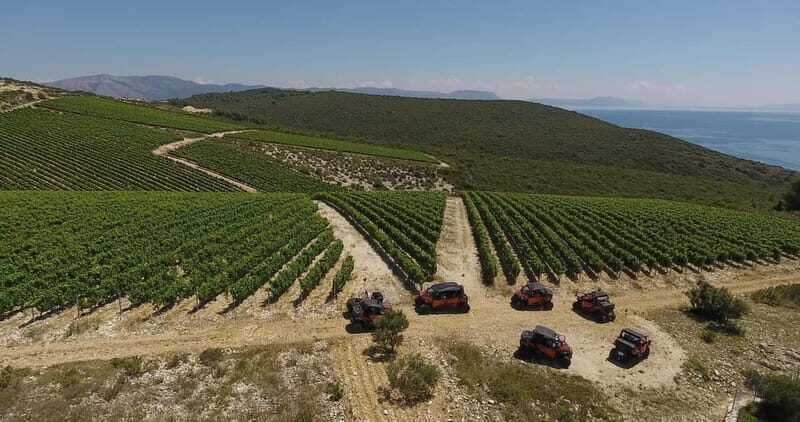 Korcula Island: Buggy Beach Safari with Lunch and Snorkeling - Price and value: what you’re really paying for at $259