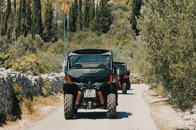 Korcula Island Private Buggy Beach Hunting Safari with lunch - Agrotourism visit near Žrnovo: wine tasting plus lunch that actually feels local