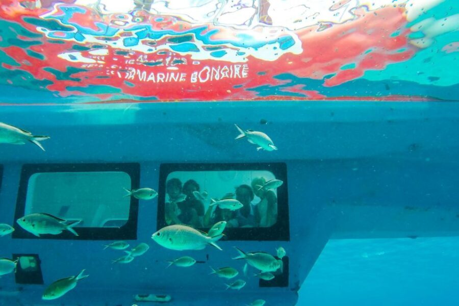 Korcula: Semi-Submarine Tour - Ratings Snapshot: What People Seem to Love Most