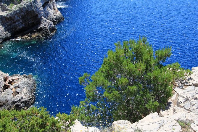 KORNATI by speed boat - Kornati by speed boat: key highlights you’ll actually feel