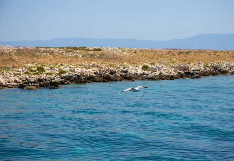 Krk : Sailing along the coasts of island Krk and Plavnik - Krk Coastpanoramas To Kormat’s Seagull Island: The First Stops That Set the Tone