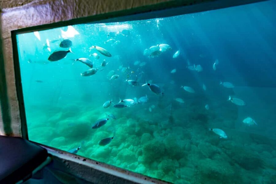 Krk: Yellow Semi-Submarine Tour - Redagara Bay: the view reason you’d do it even if you skipped the fish