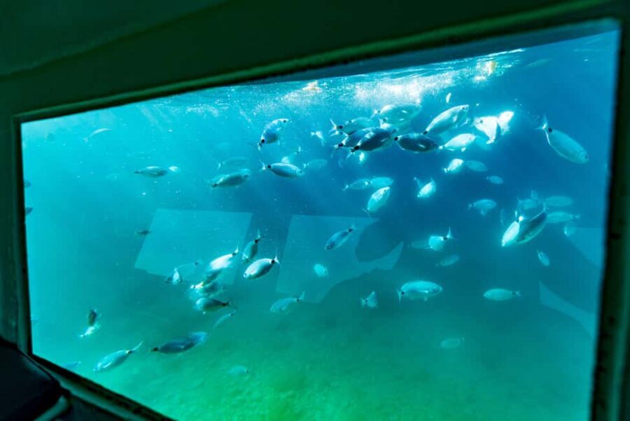 Krk: Yellow Semi-Submarine Tour - Inside the air-conditioned glass cabin: comfort plus big windows
