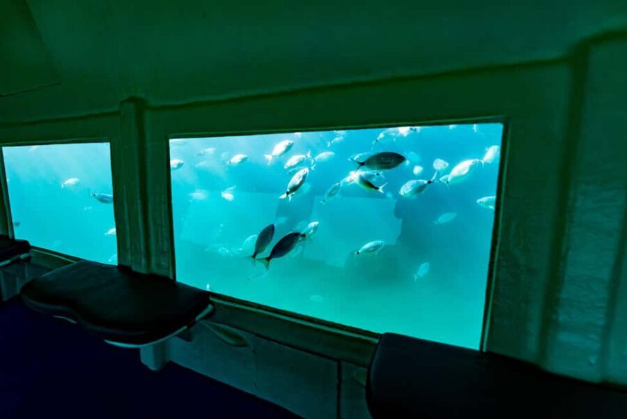 Krk: Yellow Semi-Submarine Tour - Timing, the 30-minute rhythm, and what you do during the stop