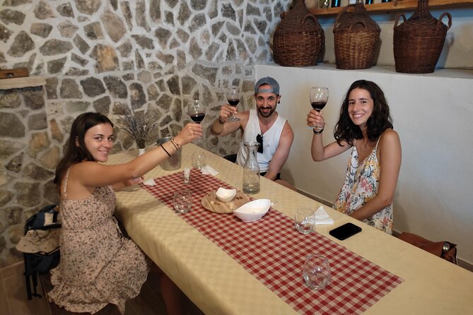 Krka National Park Tour with tour Guide & Wine tasting from Split & Trogir - Stop 2: Skradin town, wine tasting, and lunch freedom