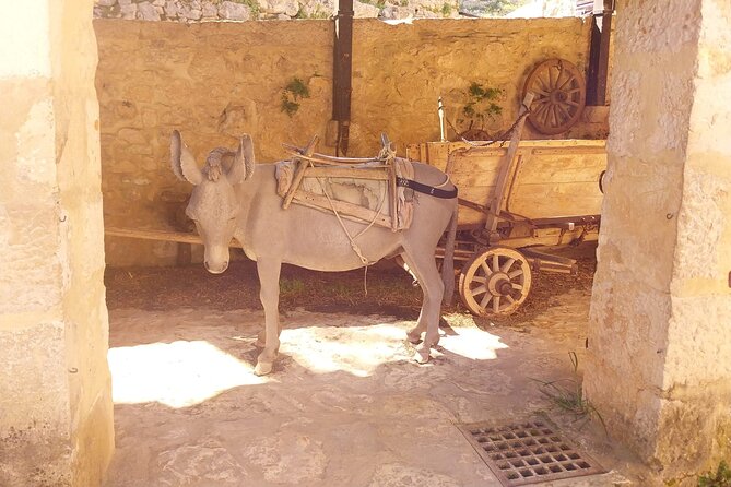 Krka Waterfalls & Skradin AFTERNOON Tour - TICKET INCLUDED - Skradin after Krka: old town wandering and a beach reset