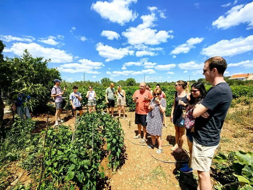 Krka waterfalls tour with lunch from Split - Guides and small-group energy: Emanuel’s style matters
