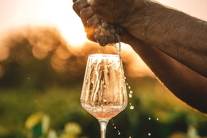Krka Waterfalls & Wine and Cheese Tasting Tour from Split - Should you book Krka Waterfalls & Wine and Cheese from Split?
