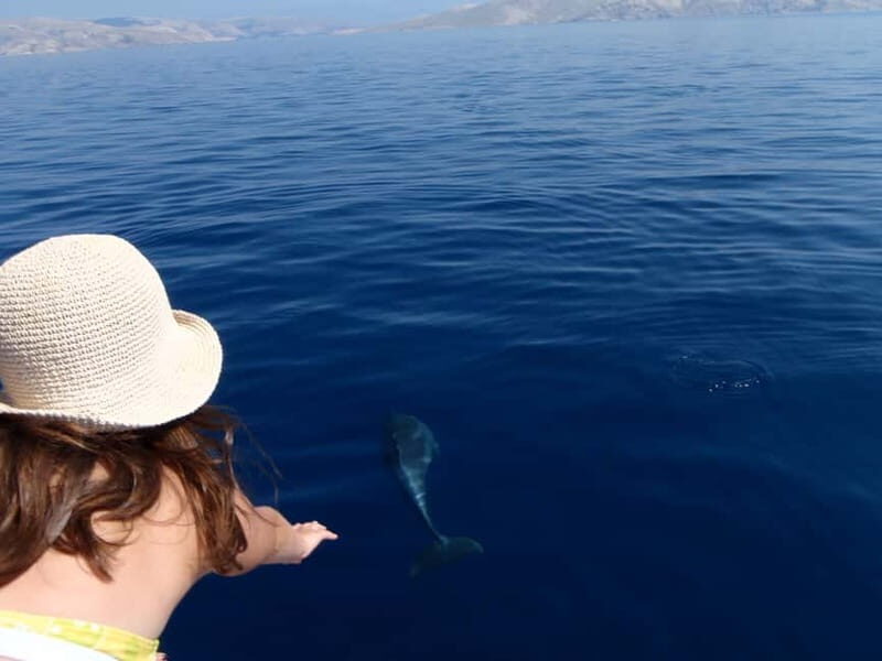 Krk:Rab & Pag Boat Trip with Swimming & City Tour with lunch - Setting Sail from Krk: MB Tajana and a Route You Can Feel