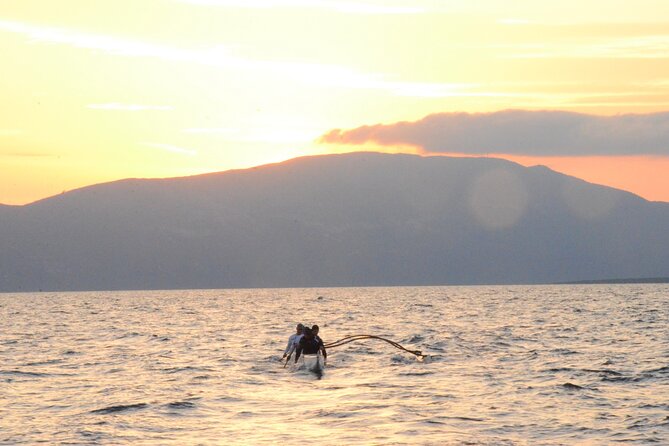Lim Bay Outrigger Canoe Tour - Dolphins while paddling: enjoy the possibility, don’t treat it like a guarantee