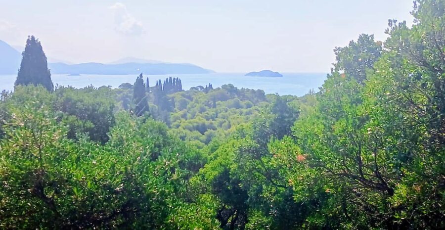 Lokrum Island Scenic Hike: History, Nature & Stories - The return stroll at Stara luka: end with forest calm