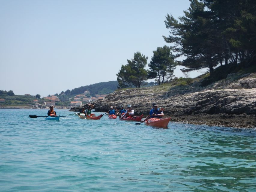 Lumbarda: Half-Day Kayaking and History with Wine delight - Wild deer on Badija: the moment that lands softly