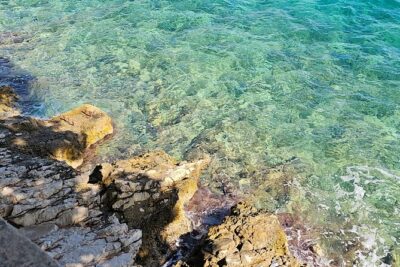 Luxury Day tour to Korčula - Korčula Old City: Cathedral, Marco Polo House, and a real walk