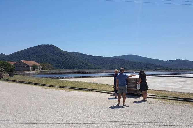 Luxury private transfer Split - Dubrovnik with lunch in Ston - Ston on the Pelješac Peninsula: Walls, Salt, and a Proper 3-Hour Break