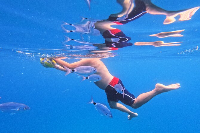 Makarska: 3-Island Speedboat Tour with Cave and Blue Lagoon - Pokrivenik Blue Cave and Mala Stiniva Cliff Jumps: The Main Event