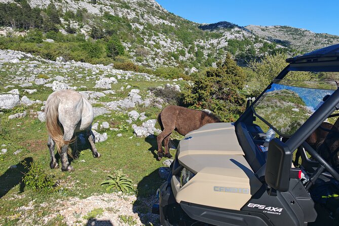 Makarska: Baggy Skywalk & Biokovo Viewpoint Tour - Entering Skywalk Biokovo: tickets handled, time to look, and chilly weather reality