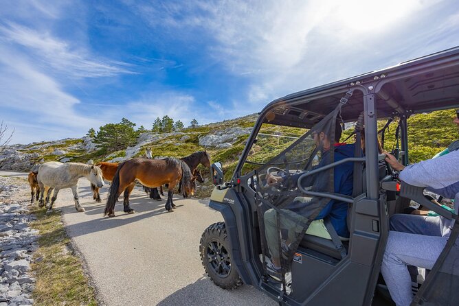 Makarska: Baggy Skywalk & Biokovo Viewpoint Tour - The buggy ride up Biokovo: fun, and also a smart way to go