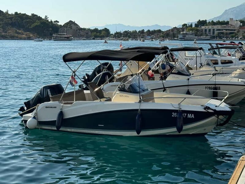 Makarska: Half-Day Boat Tour to Hvar Island - Jelsa on Hvar: town time without the “too rushed” feeling