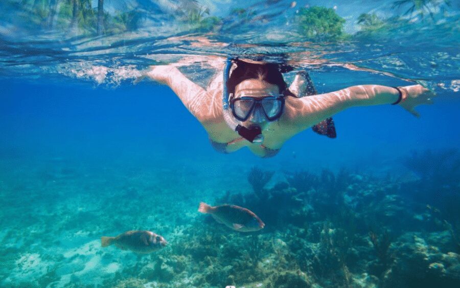 Makarska: Sea kayaking & snorkeling adventure - MPL Nautika - Kayak comfort, safety, and the “small group” advantage