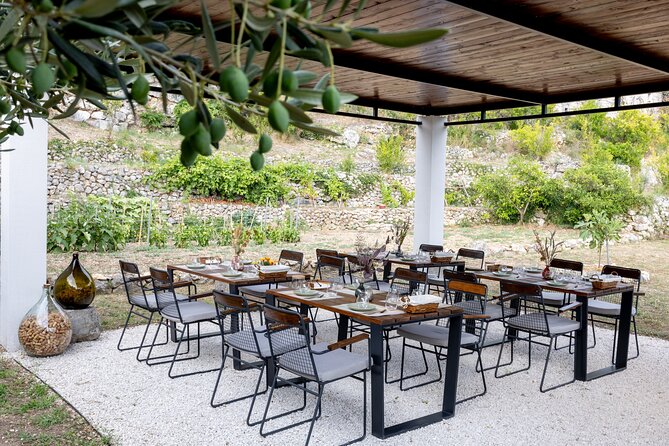 Makarska Tuk Tuk Tour Olive Grove, Scenic Views and Tastings - Peninsula of St. Peter: history lessons plus a cherry liqueur reward