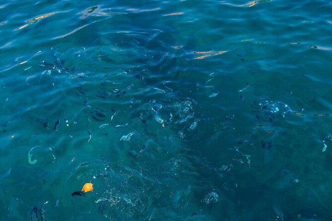 Medulin: Glass Boat Tour Experience to Kamenjak - Onboard vibe: drinks, music, toilets, and family-friendly perks
