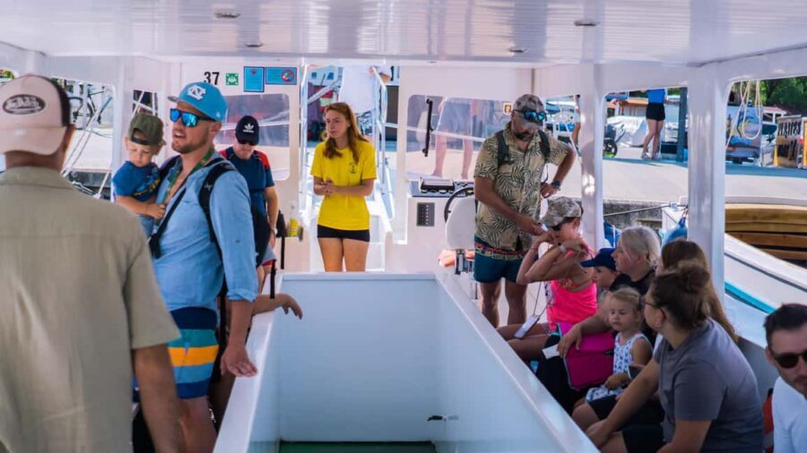Medulin: Glass Boat Tour Experience to Kamenjak - Price and value: $35 for a tight, active 3 hours