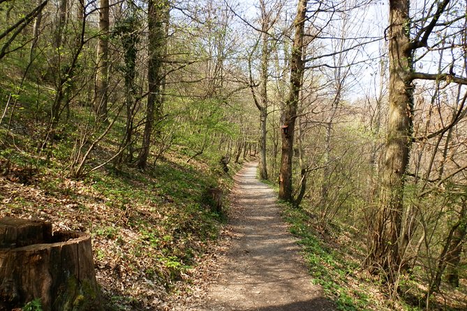 Medvednica Hiking and Chestnuts Picking Tour from Zagreb - What You Can Expect When You Hit the Trail