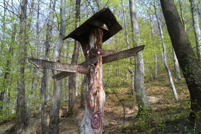 Medvednica Hiking and Chestnuts Picking Tour from Zagreb - Key Things I’d Target Before Booking