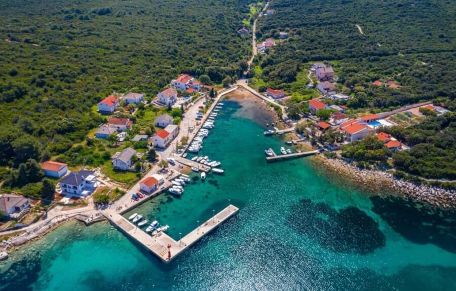 Molat Island Dolphin Watching Boat Tour 6hours TOUR - Key highlights worth your attention