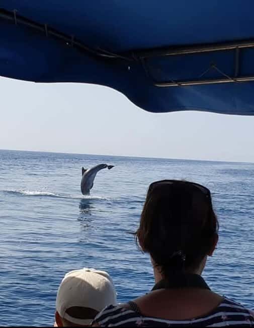 Molat Island Dolphin Watching Boat Tour 6hours TOUR - Speedboat to Molat’s dolphin reserve: the big picture