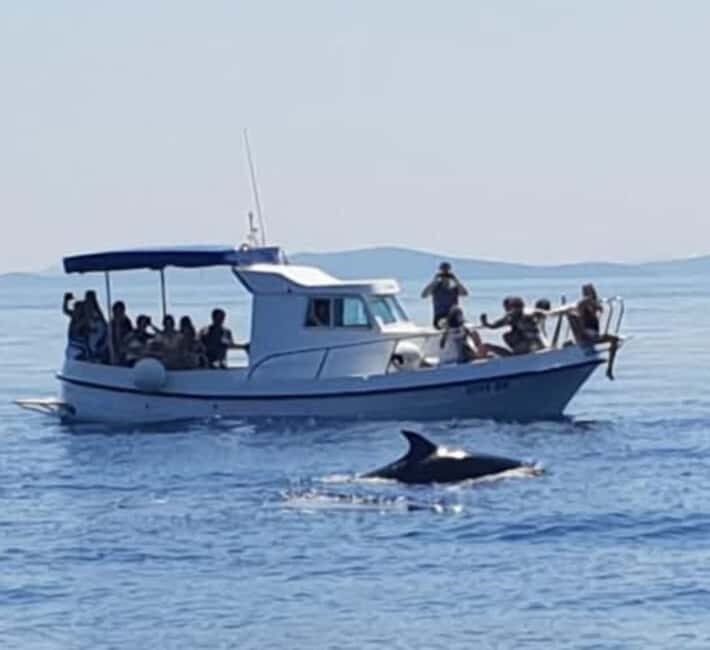 Molat Island Dolphin Watching Boat Tour 6hours TOUR - Pricing and logistics: where surprises can happen