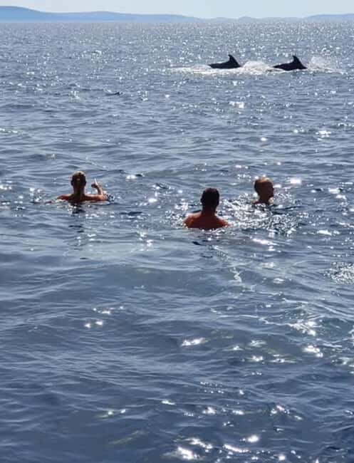 Molat Island Dolphin Watching Boat Tour 6hours TOUR - Language support and who runs the day