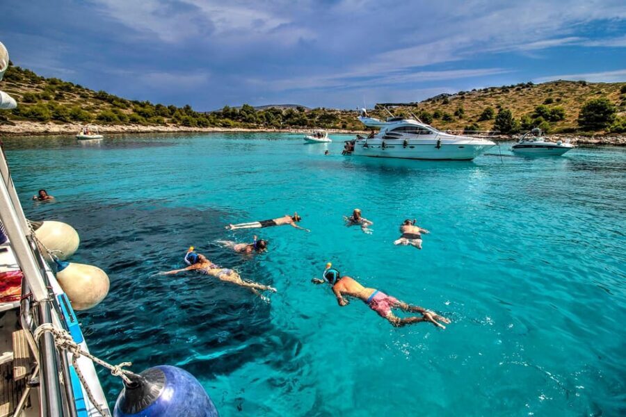 Molat Island Dolphin Watching Boat Tour 6hours TOUR - Who this tour is best for